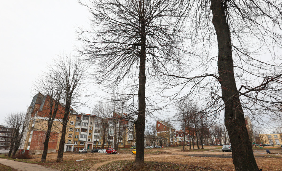 Строительство дома Филимонова и Столетова